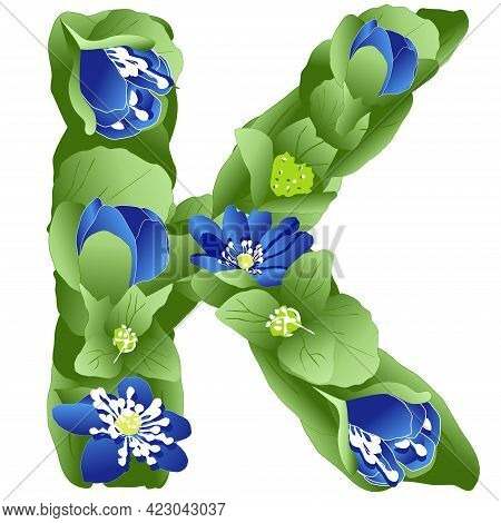 Vector Image Of The Letter K Of The English Alphabet Made In The Form Of Flowers And Leaves Of Liver