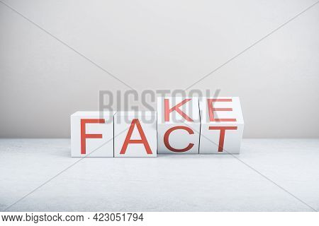 Creative White Blocks With Letters Forming Words Fact And Fake On Neutral Concrete Background. Misin