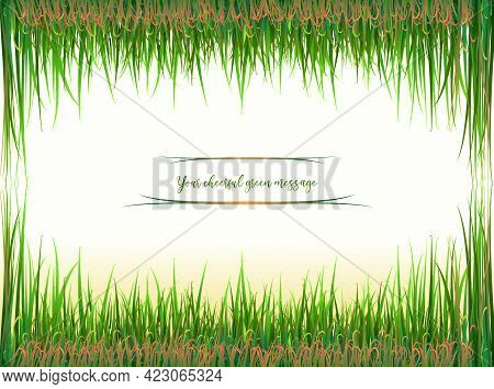 Grass Frame. Isolated Green And Light Brown Grass On A Gentle Background