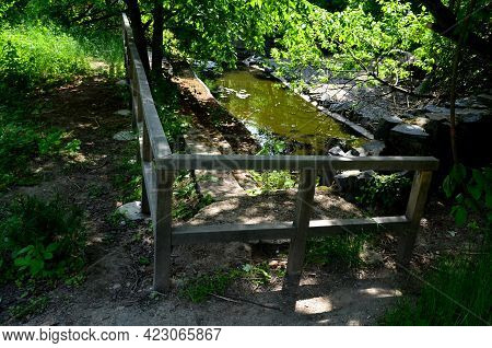 Biozone For The Reproduction Of Amphibians, Frogs And Newts In The City Park Is Separated By A Woode