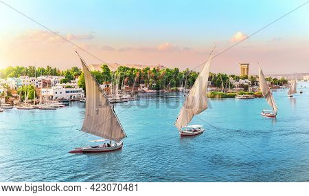 Aswan, Nile River Scenery With Famous Sailboats, Egypta