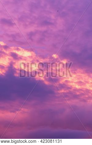 Evening Sky In Pink, Lilac, Purple, Violet, Magenta, Crimson, Burgundy, Scarlet Shades With Cumulus 