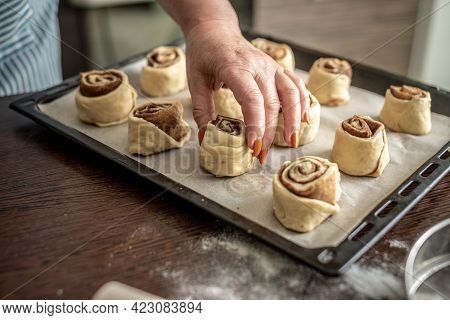 Womens Hands Are Gently Putting The Raw Cinnamon Buns On A Baking Sheet Before Baking. Concept Of Th