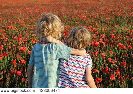 Two Little Boys Are Watching The Field Crimson Clovers In A Spring Landscape. Trifolium Incarnatum. 