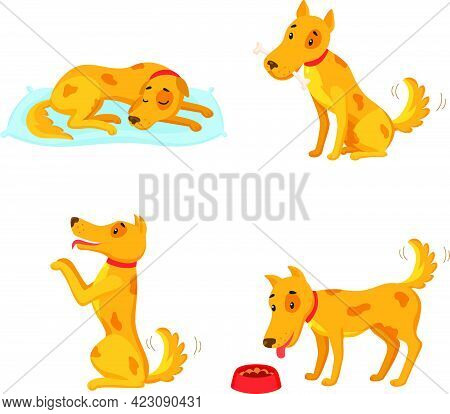 Dog In Different States. Cartoon Character Set. Sleeping, Gnawing Bone, Performing, Eating. Vector I