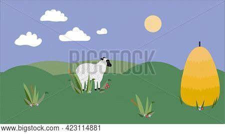 A White Sheep On A Green Meadow With A Haymow.