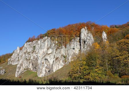 Bosco autunnale e roccia bianca, parco nazionale di Ojcow, Polonia.