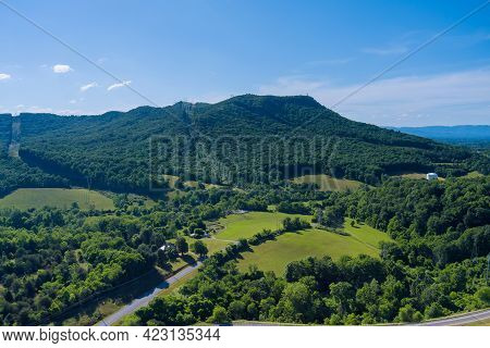 Panoramic Aerial View Of Summer Green Trees Forest In Campobello Town, South Carolina Usa