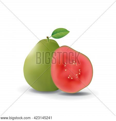 Red Guava Healthy Organic Fresh Fruit Summer Isolated Vector Illustration
