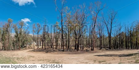 Seweweekspoort, South Africa - April 6, 2021: Panorama Of Camping Sites At Op Die Plaas Camp At Sand
