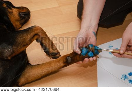 A Man And His Dog Are Lying On The Floor Of The Living Room. A Hand Brushes A Rottweilers Paw With B