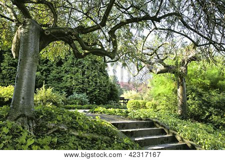 Jardín Japonés