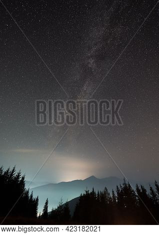 Magnificent View Of Night Starry Sky Over Coniferous Wood In Mountains. Beautiful Landscape Of Night