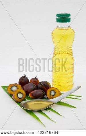 Commercial Palm Oil Cultivation. Since Palm Oil Contains More Saturated Fats Its Use In Food. Oil Fr