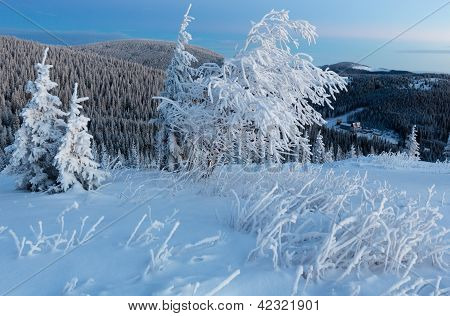 Predawn Mountain Polne