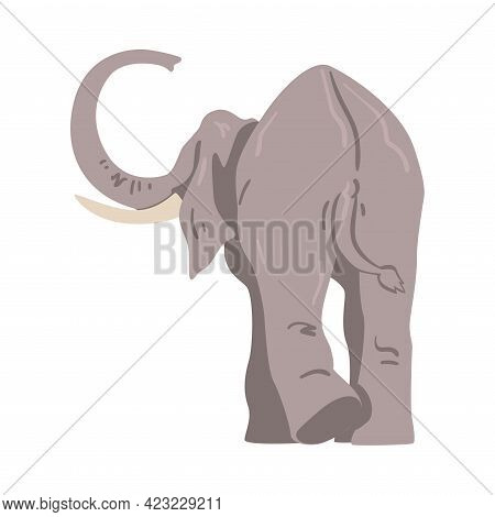 Elephant As Large African Animal With Trunk, Tusks, Ear Flaps And Massive Legs Vector Illustration
