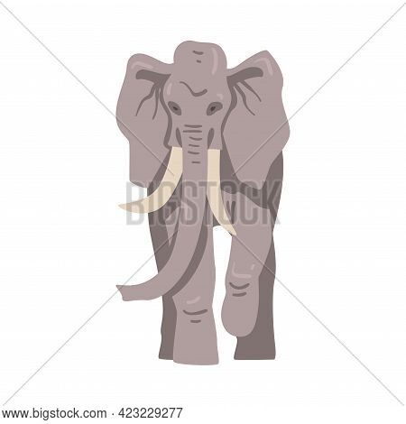 Walking Elephant As Large African Animal With Trunk, Tusks, Ear Flaps And Massive Legs Vector Illust