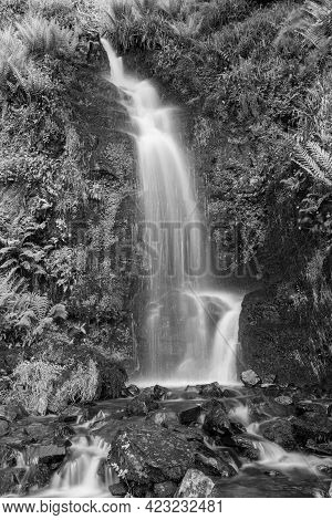 Hollowbrook Waterfall