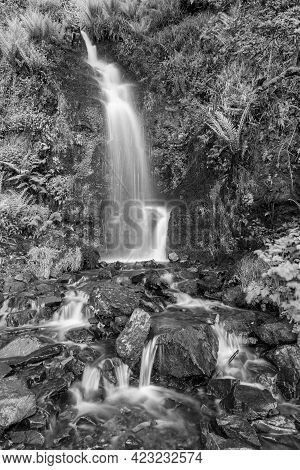 Hollowbrook Waterfall