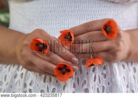 Woman In White Dress Holding Poppe Flowers, Close Up On Her Hands. Spring Time Dreams.
