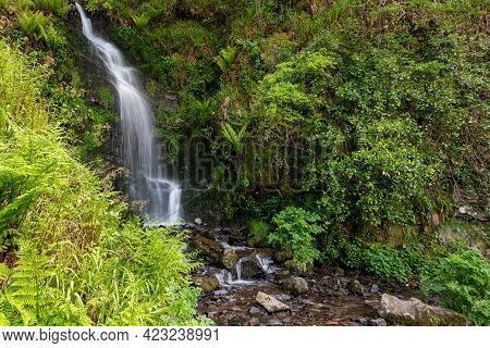 Hollowbrook Waterfall