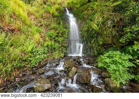 Hollowbrook Waterfall