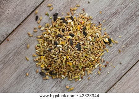 Kupie nasion ptaków na drewno