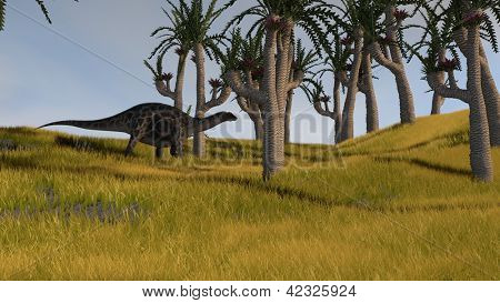 dicraeosaurus ในป่า