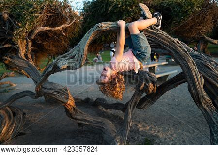 Kid Climbing Tree. Caucasian Boy Happily Lying Upside Down In A Tree Hugging A Big Branch.
