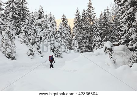 escursioni invernali