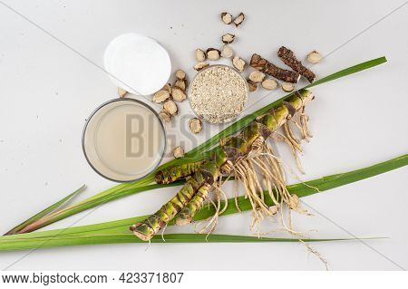 Fresh And Dried Acorus Calamus Roots, Also Known As Sweet Flag, Calamus Leaves And Powder, Tonic For