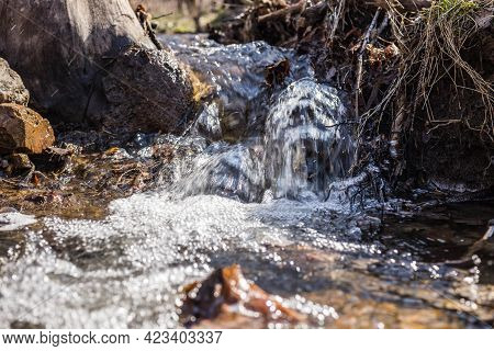 Close-up Of A Streamlet In The Forest.