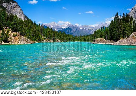 Rapidly Flowing Waters Of Bow River In Banff National Park With Surrounding Pine Trees And The Snow-