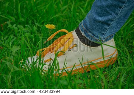 Woman's Leg In White Sneakers On Green Grass. Women's Shoes, Stock Photo