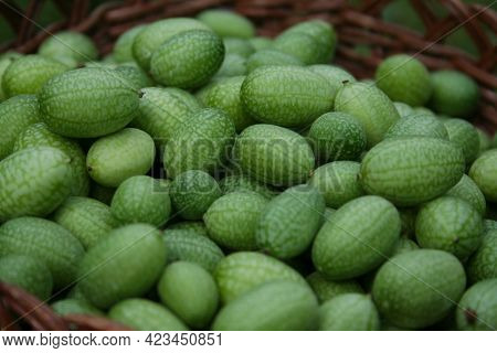 Miniature Mexican Watermelons - Melothria Scabra In Organic Market