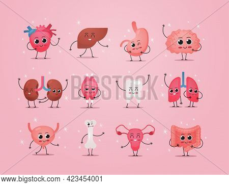 Funny Anatomical Mascot Kidneys Muscle Tooth Lungs Heart Liver Stomach Brain Bone Digestive System C