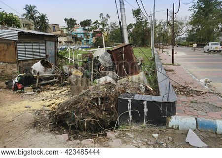 Howrah, West Bengal, India - 31st May 2020 : Super Cyclone Amphan Uprooted Tree Which Fell , Broke H