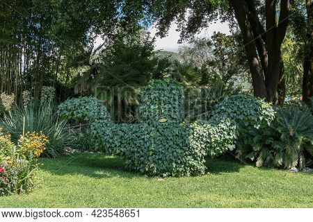 André Heller Botanical Garden. Gardone Riviera (bs), Italy - August 25, 2020