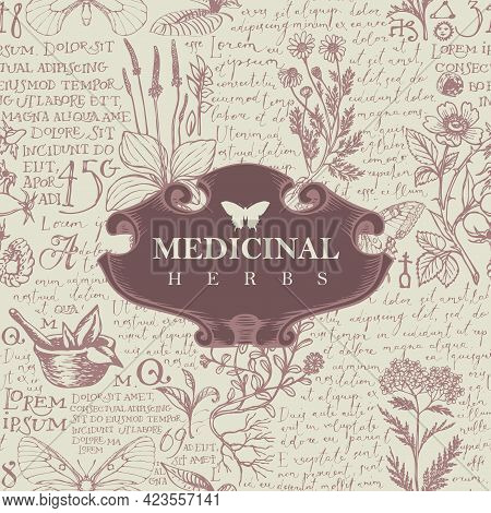 Vector Banner Or Label With The Words Medicinal Herbs. Hand-drawn Illustration In Retro Style With V