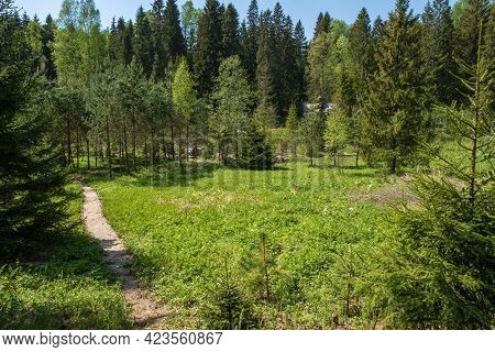 At The Holy Spring Of St. Irinarch The Recluse In The Borisoglebsky District Of The Yaroslavl Region
