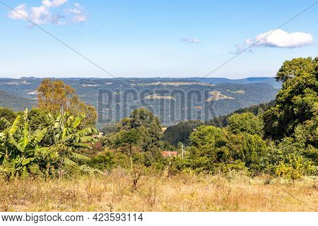 Forest And Farm Plantation Views Over Mountains