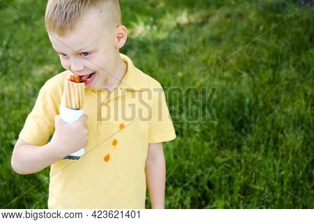 A Boy Bites A French Hot-dog And Stains His Clothes With A Ketchup Stain. In The Park. The Concept O