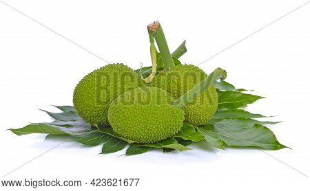 A Breadfruit Isolated On A White Background