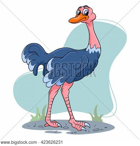 Animal Character Funny Ostrich In Cartoon Style