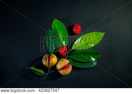 Nutmeg Fruits And Seeds With Green Leaf In Dark Background, Nutmeg Fruits And Seeds On Dark Backgrou