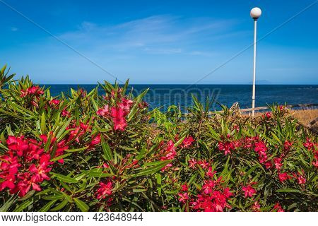 Panorama Of Lungomare Boeo, Marsala, Trapani, Sicily, Italy, Europe