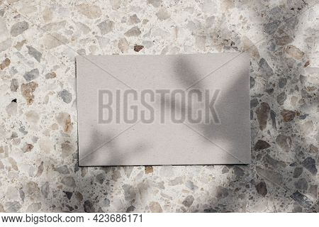 Blank Beige Business Cards Mockup On Terazzo Background In Sunlight. Marble Stone Texture, Tree Leaf