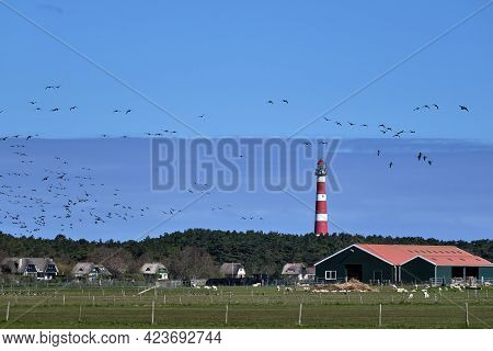 Typical Dutch Landscape With A Farm, Farmland With A Flock Of Geese In The Sky And The Lighthouse Of