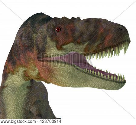 Daspletosaurus Dinosaur Jaws 3d Illustration - Daspletosaurus Was A Carnivorous Theropod Dinosaur Th