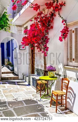 Charming narrow typical streets of Greek islands, Chora town with pink floral tree. Cyclades, Greece